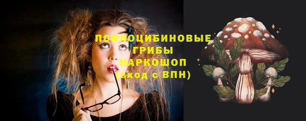 индика Алексеевка