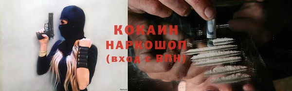индика Алексеевка