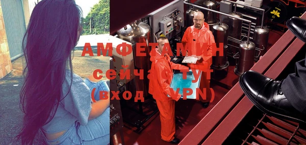 индика Алексеевка